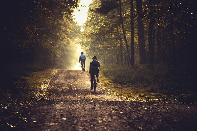 cycling-7564103_640